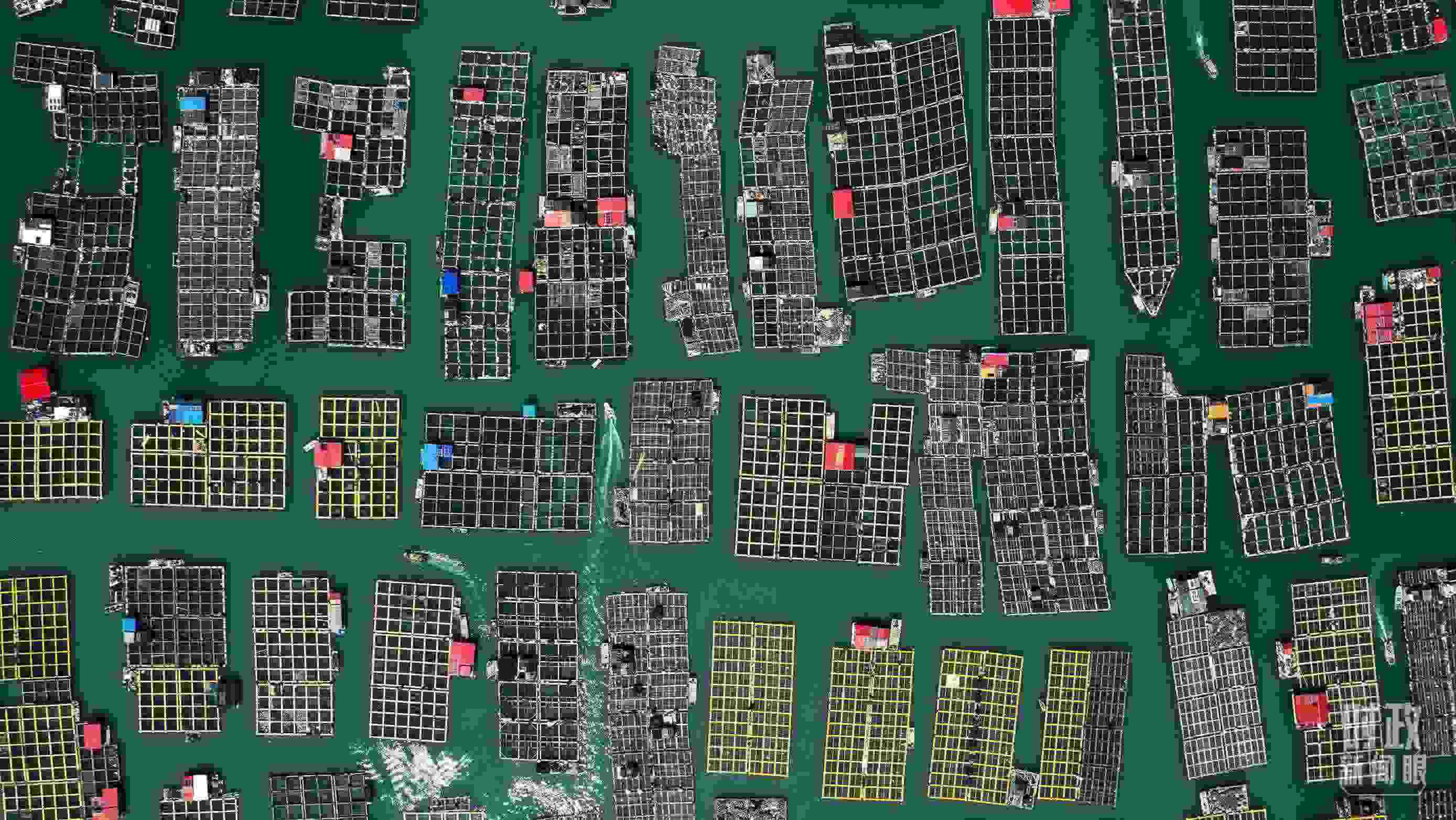 △澳角村。（總臺記者李晉拍攝）