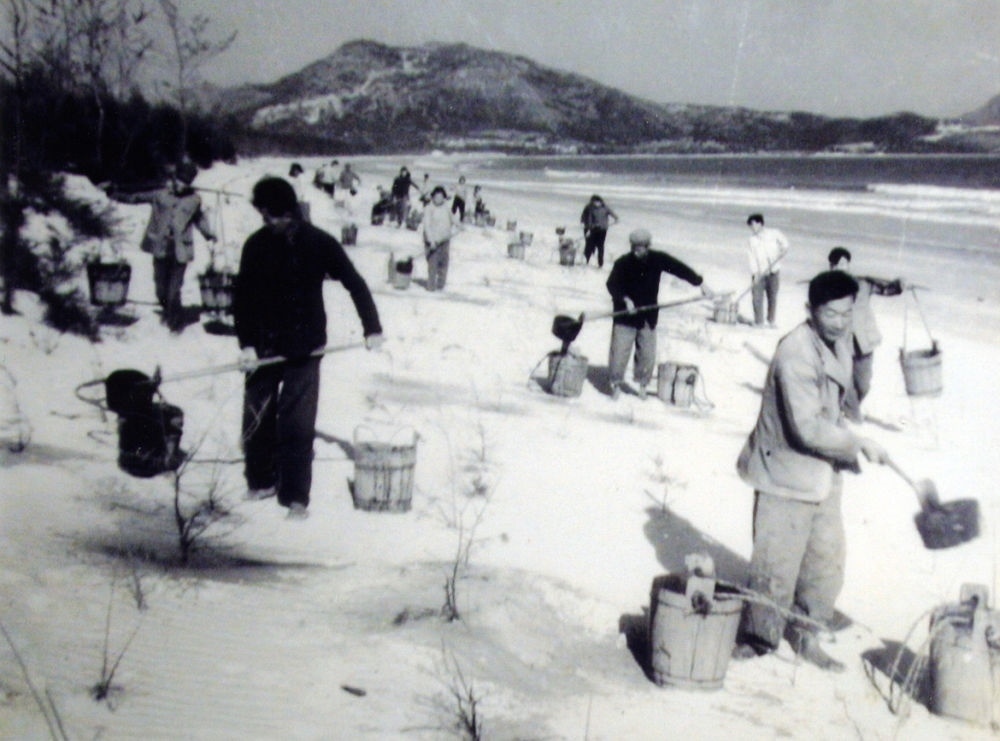 上世紀東山百姓在沙灘造林（資料照片）。