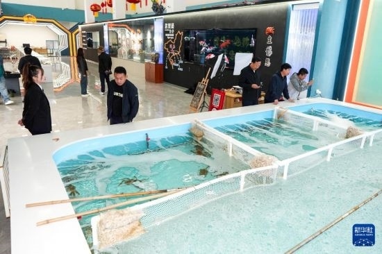 9月20日，游客在吉林省琿春市的帝王蟹保稅店內(nèi)選購帝王蟹。新華社記者 許暢 攝