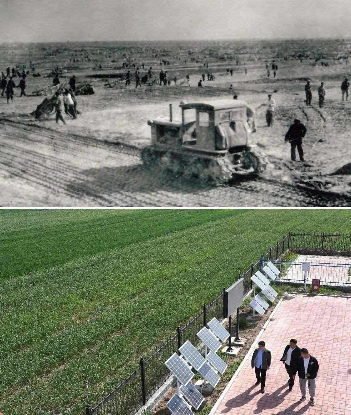 上圖為二十世紀(jì)六十年代蘭考改造鹽堿地的情景（資料照片）；下圖為2024年4月18日拍攝的蘭考縣紅廟鎮(zhèn)高標(biāo)準(zhǔn)農(nóng)田示范區(qū)。（新華社記者 朱祥 攝）