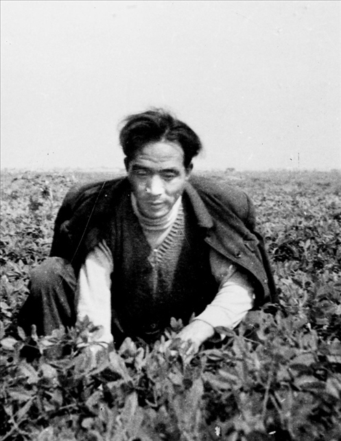 在蘭考期間，焦裕祿在田間勞動(dòng)的情景。