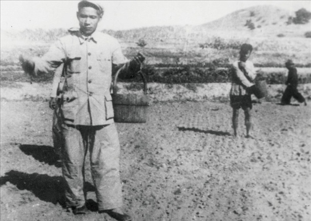 △ 谷文昌在福建省東山縣坑北村參加播種。