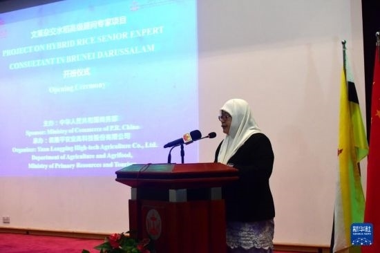 10月26日，文萊初級資源與旅游部常任秘書圖蒂亞蒂在斯里巴加灣市出席中國與文萊雜交水稻高級專家顧問項目啟動儀式。新華社記者 李萌 攝