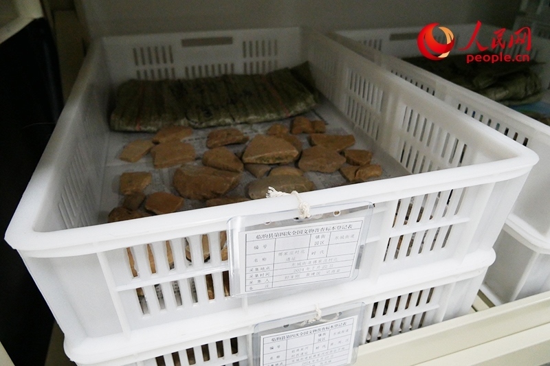 已經(jīng)整理完畢的文物標本。人民網(wǎng)記者 韋衍行攝