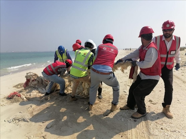 中國(guó)電建員工在撿拾海灘垃圾。中國(guó)電建供圖