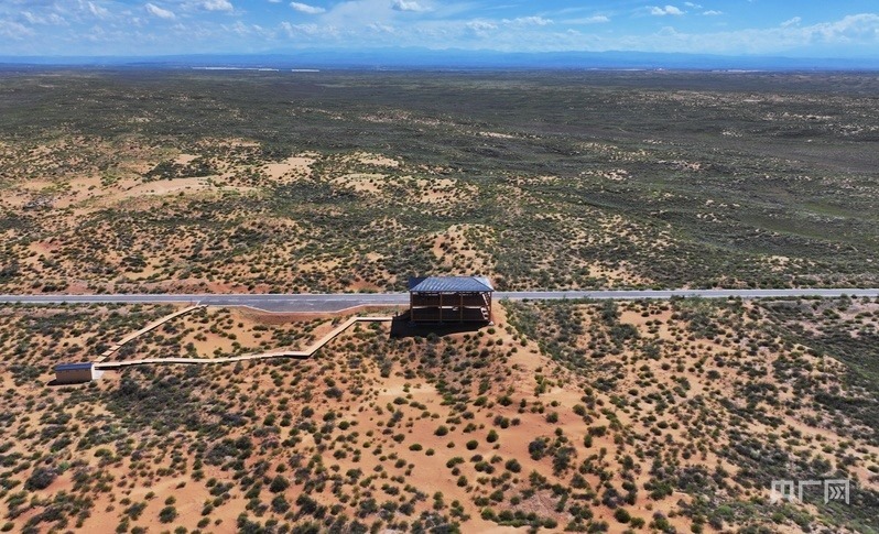 古浪縣一代代人治沙不息，讓綠色向沙漠深處不斷延伸（央廣網(wǎng)記者 李紅軍 攝）