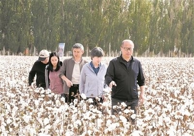 李召虎團(tuán)隊成員在棉田了解試驗情況。 受訪單位供圖