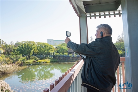 參觀白鷺園。環(huán)球網供圖
