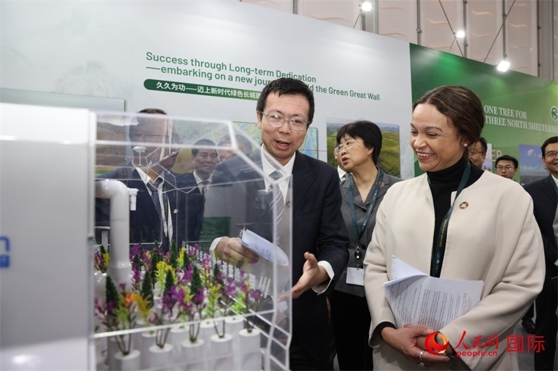 嘉賓參觀中國館。人民網(wǎng)記者任皓宇攝