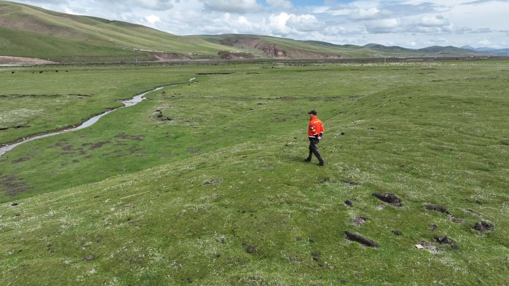 9月24日，生態(tài)管護員那瓦才郎在草場上巡護。（受訪者供圖）