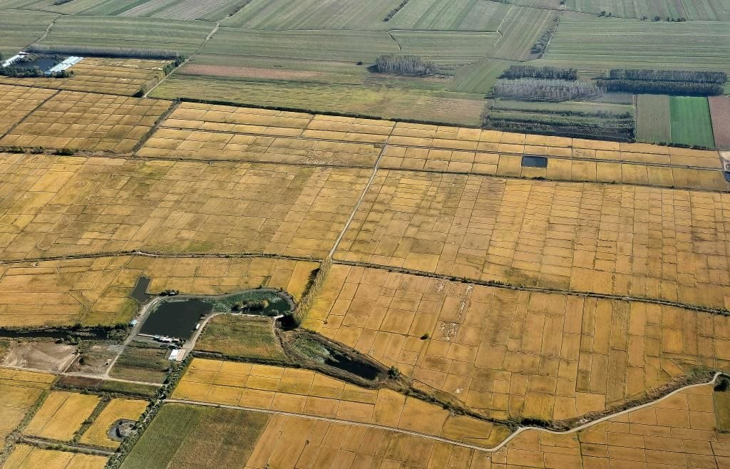 俯瞰黑龍江省哈爾濱市一處稻田（10月2日攝，無人機照片）。新華社記者 孫曉宇 攝