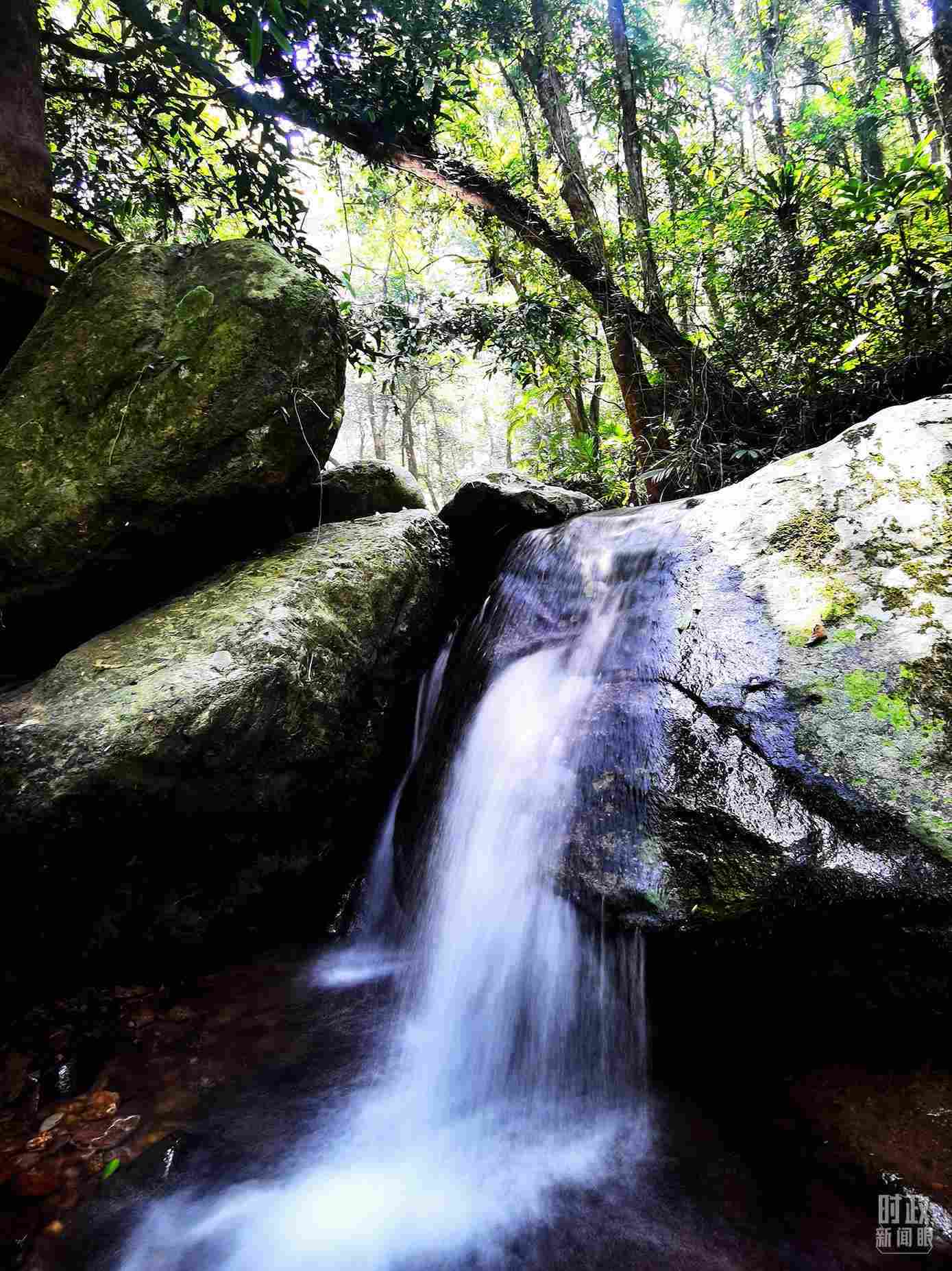 海南五指山。（總臺央視記者劉琦拍攝）