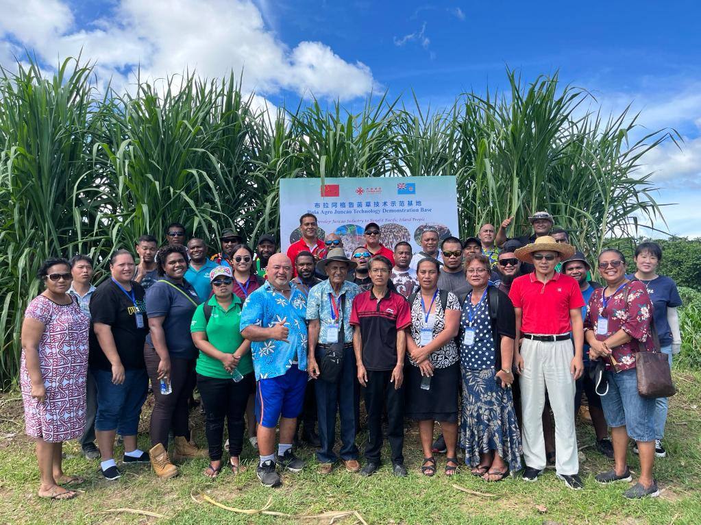 2024年2月28日，來自巴布亞新幾內(nèi)亞、湯加、庫克群島、薩摩亞、瑙魯?shù)葒业摹疤窖髰u國菌草技術培訓班”學員在斐濟布拉阿格魯菌草技術示范基地合影。新華社發(fā)（中國援斐濟菌草技術示范中心供圖）