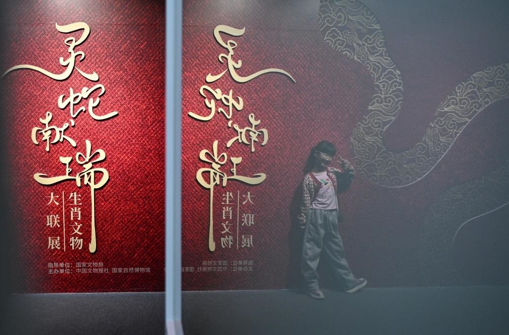 1月18日，一名小朋友在國家自然博物館舉辦的“靈蛇獻(xiàn)瑞——2025乙巳蛇年生肖文物大聯(lián)展”展覽中拍照留念。（新華社記者 陳鐘昊 攝）