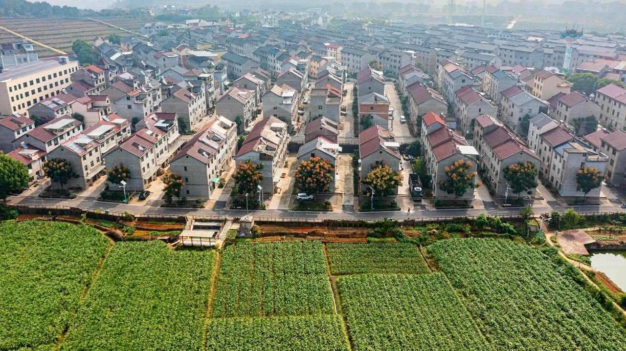 衢州市衢江區(qū)云溪鄉(xiāng)希望新村鳥瞰圖。衢州市衢江區(qū)委宣傳部 供圖