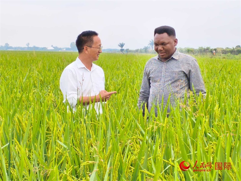 專家組組長楊華德在與農(nóng)民學(xué)員交流。人民網(wǎng)記者黃培昭攝