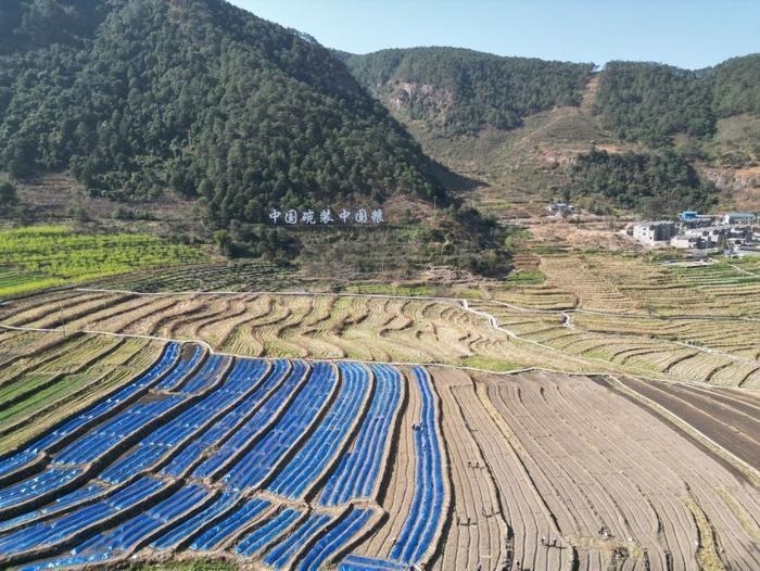 △近日，四川涼山一現(xiàn)代農(nóng)業(yè)園春耕育秧搶農(nóng)時。