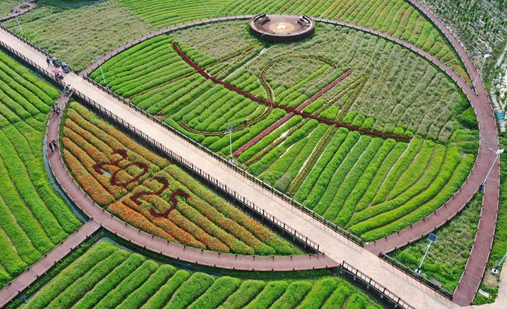 這是3月21日拍攝的瓊海博鰲南強(qiáng)村景色（無人機(jī)照片）。新華社記者 郭程 攝