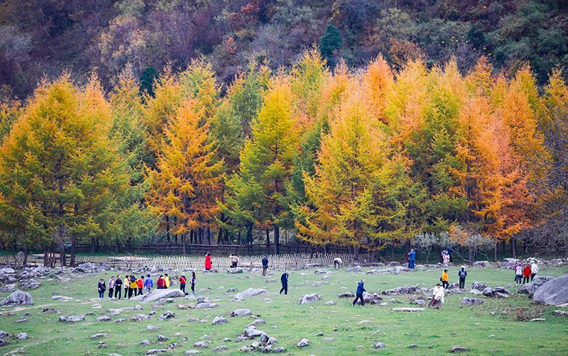 2023年10月27日，深秋時(shí)節(jié)的陜西秦嶺太子嶺五彩斑斕，進(jìn)入最佳觀賞期。