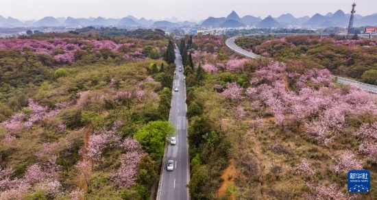 游客驅(qū)車前來清鎮(zhèn)市紅楓湖鎮(zhèn)右二村踏青游玩（4月5日攝，無人機照片）。