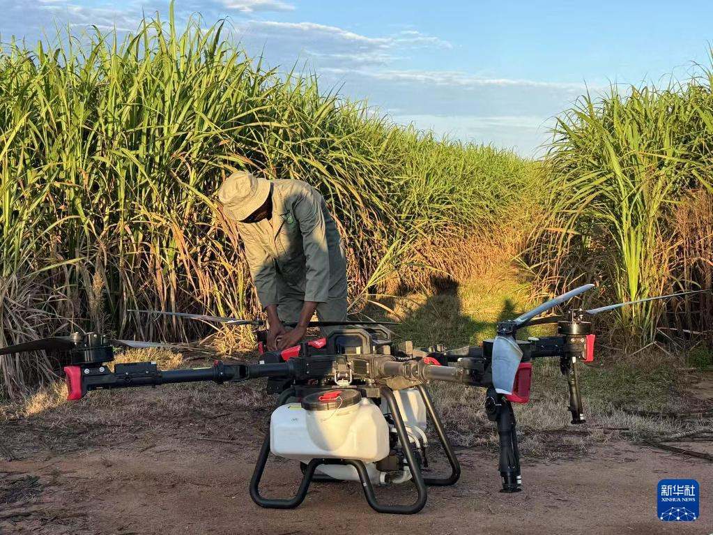 3月25日，在南非夸祖魯-納塔爾省的方廷希爾莊園，工作人員為無人機做起飛作業(yè)前的準備。新華社記者 白舸 攝