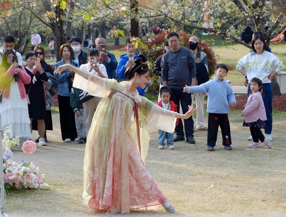 清明假期期間，上海顧村公園櫻花島上，游客在觀賞國風(fēng)漢服快閃表演。（圖片來源：視覺中國）
