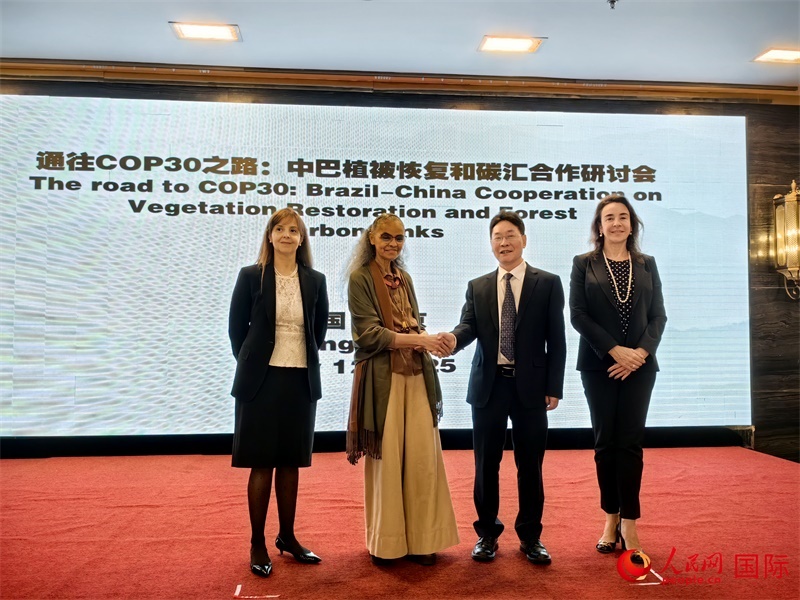 中國國家林業(yè)和草原局副局長李云卿（右二）、巴西環(huán)境和氣候變化部部長瑪麗娜·席爾瓦（左二）、巴西財(cái)政部副部長羅熙丹（右一）、巴西駐華大使館公參樂美（左一）出席“通往COP30之路：中巴植樹造林和碳匯合作研討活動(dòng)”。人民網(wǎng)記者 符園園攝