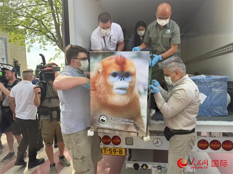 圖為活動(dòng)現(xiàn)場(chǎng)。人民網(wǎng)記者 牛瑞飛攝