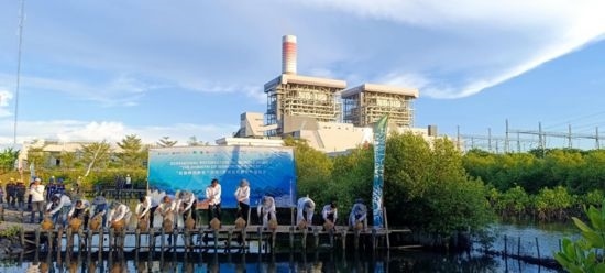 5月18日，中印尼嘉賓在爪哇7號(hào)燃煤電站舉行紅樹林補(bǔ)植儀式。記者 曹凱 攝