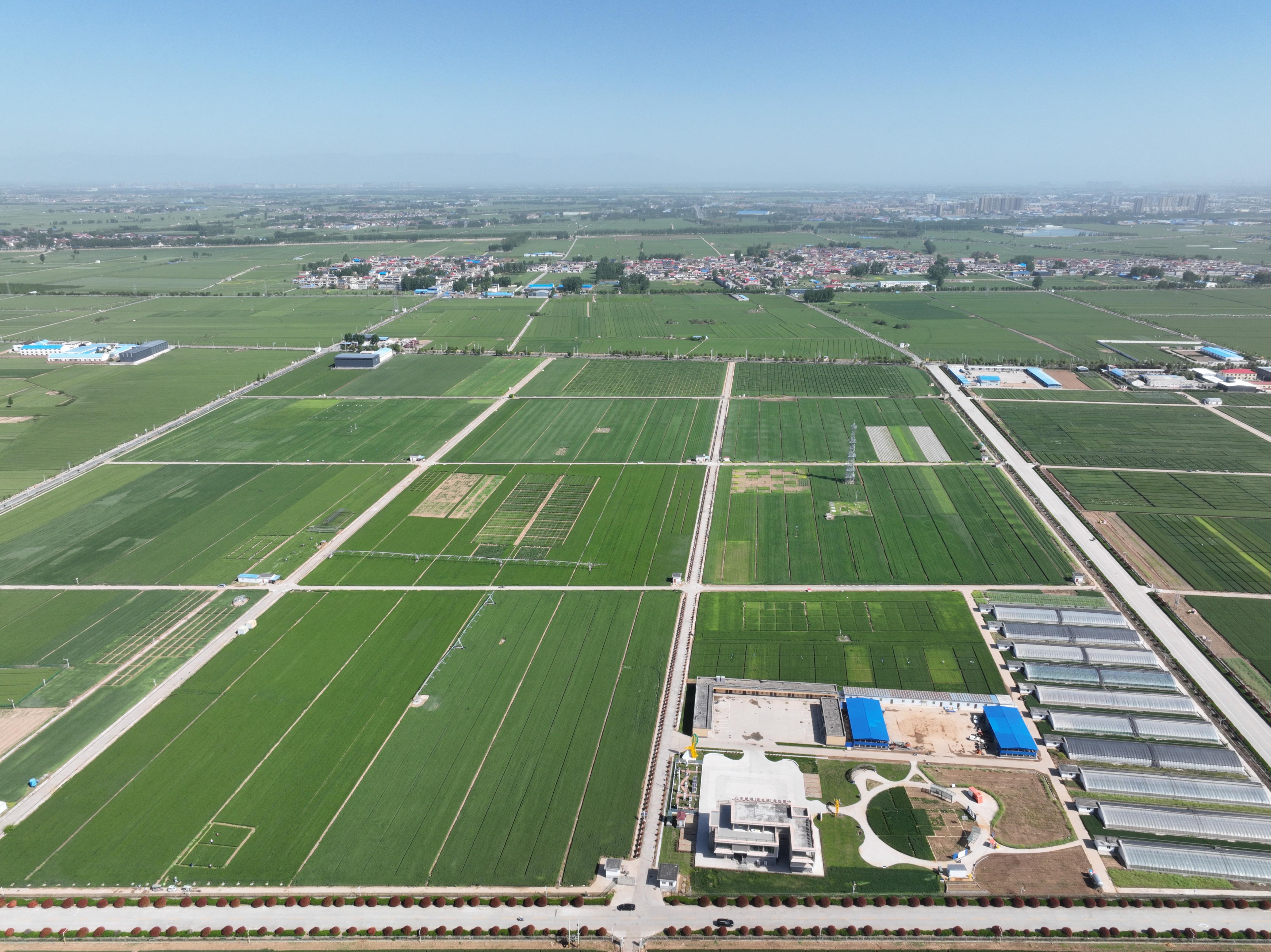 俯瞰水利部灌溉試驗總站試驗研究基地。受訪者供圖