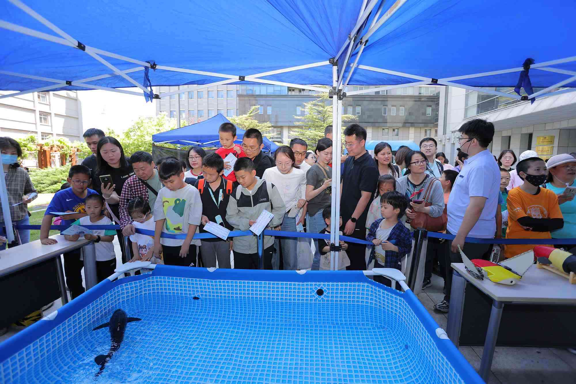 水下仿生機器魚在活動現(xiàn)場大受歡迎。中國科學院自動化研究所供圖